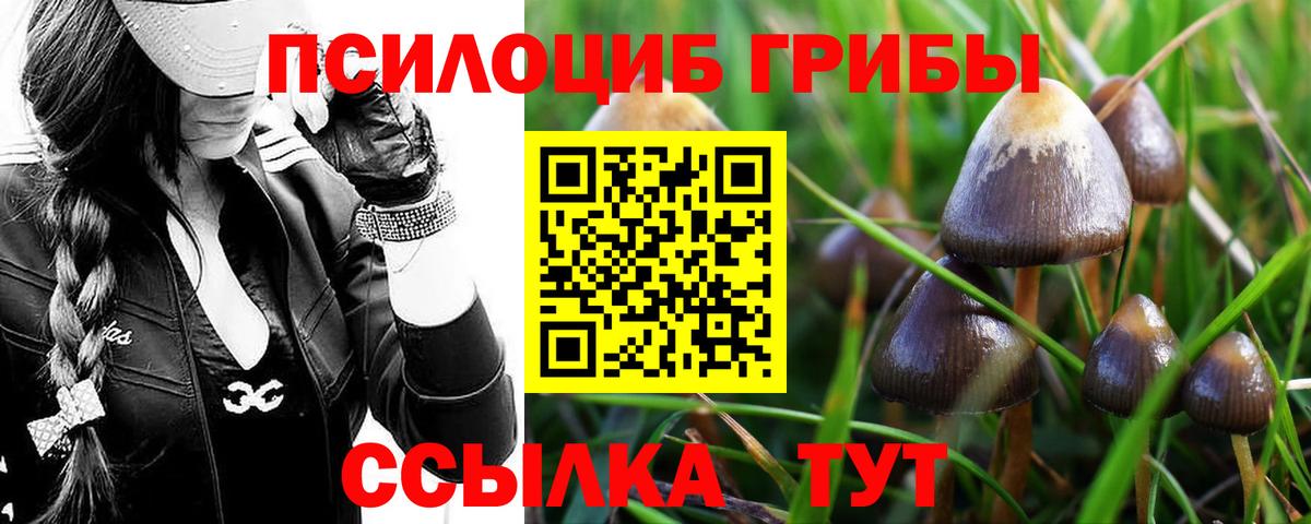 Галлюциногенные грибы MAGIC MUSHROOMS Барабинск